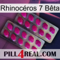 Rhinocéros 7 Bêta 10